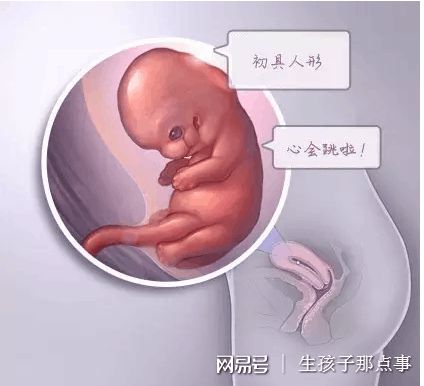 PGT实验室